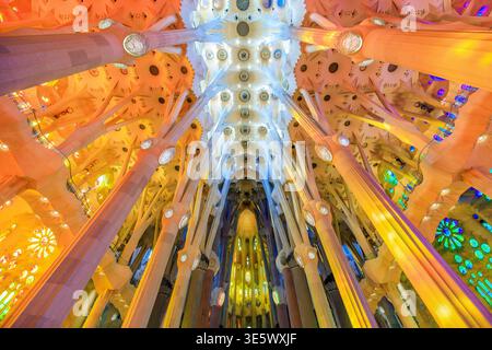Barcelona in Katalonien, Spanien - 10. Januar 2026: Decke und Säulen der Sagrada Família. Stockfoto