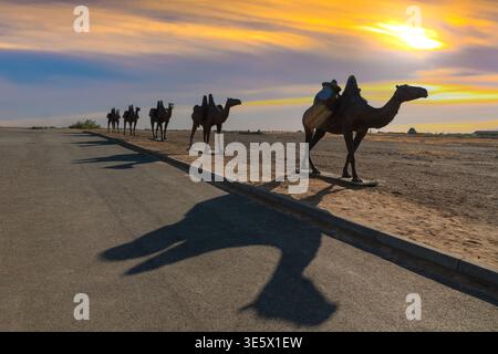 Silk Road Karawanen Kamelstatuen werfen lange Schatten entlang einer Wüstenstraße bei Sonnenuntergang in Turkestan, Kasachstan Stockfoto