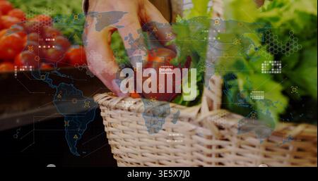 Die rechte Hand in die leichte Hülse legen, rote Tomate in den Korb auf dem Markt pflücken, digitale Überlagerung Stockfoto
