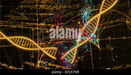 Zeigt zwei goldene DNA-Helices, die die Modellierungsanzeige kreuzen, und hebt cyanmagentafarbene Beschriftungen hervor Stockfoto