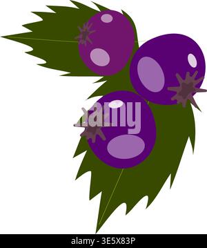 Drei violette Beeren Frucht Vektor Illustration auf transparentem Hintergrund. Frische Gartenbeeren mit grünen Blättern Stock Vektor