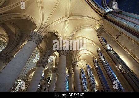 Paris (Frankreich), die renovierte Kathedrale Notre-Dame: Gewölbe, Säulen und Buntglasfenster Stockfoto