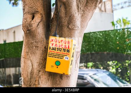 Gelbe Taxirufbox an einem Baumstamm in der Türkei, mit Telefonnummer und Anweisungen zum Service. Stockfoto