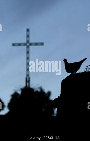Silhouette eines Vogels und Kruzifix, Kloster Lluc, Mallorca, Mallorca, Spanien, Escorca, Islas Balearas, Spanien. Stockfoto