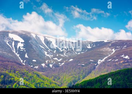 Naturbild des Borzhava-Berges mit schneebedeckten Spitzen in der Frühlingslandschaft. Hintergrundbild für Berge. Grüne Landschaft mit bewaldeten Hängen unter B Stockfoto