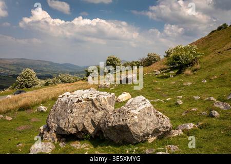 Großbritannien, Wales, Powys, Brecon Beacons, Llangattock, felsiger Straßenrand über Mynydd Llangatwg Stockfoto
