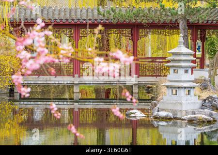 Rosafarbene Blüten treiben über ruhigen Gewässern. Der traditionelle Pavillon steht neben einer Steinlaterne. Reflexionen welken sanft über die Oberfläche. Goldener Herbst Stockfoto