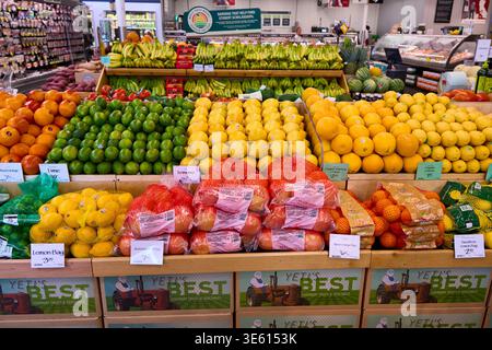 Helle Präsentation frischer Zitrusfrüchte und Bananen in einem Supermarkt. Zitronen, Limetten und Orangen sind ordentlich auf Holzregalen in einem Lebensmittelgeschäft angeordnet. Stockfoto