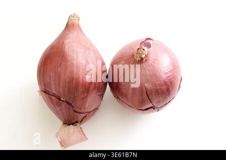 Frische Zwiebeln auf einer weißen Oberfläche mit natürlicher Farbe, Textur und Einfachheit. Ideal für Konzepte des Kochens, Küche Zutaten, gesund Stockfoto