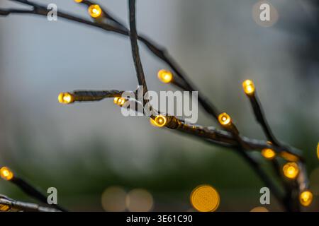 Nahaufnahme funkelnder Lichter auf Laub, sanfter Beleuchtung, nächtlicher oder schwach beleuchteter Innenbereich, Lichterketten, Äste, geringe Schärfentiefe, Stockfoto