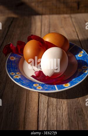 Osterstilleben mit natürlich gefärbten braunen Eiern und weißem Ei auf einem Blumenteller mit roten Zwiebelschalen auf natürlichem Sonnenlicht. Stockfoto