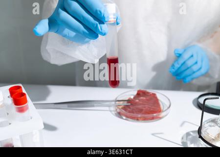 Wissenschaftlerin, die ein Reagenzglas mit Blutprobe in der Nähe von Laborfleisch in Petrischale hält. In-vitro-Anbau zur künstlichen Fleischerzeugung. Nachhaltige Biotechnologielösung, die global ausgerichtet ist Stockfoto
