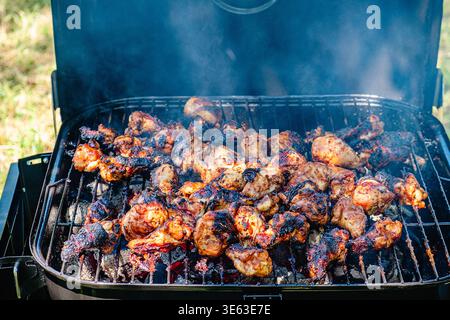 Scharfe Hähnchenschenkel und Flügel, die am Rauchfeuer in einem tragbaren Grill grillen. Stockfoto