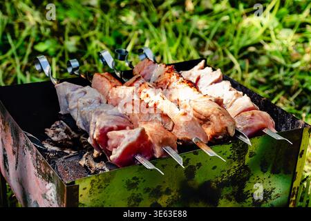 Verbrannte Schweinespieße auf Eisengrill, draußen, Nahaufnahme, über echter Holzkohle, selektiver Fokus Stockfoto