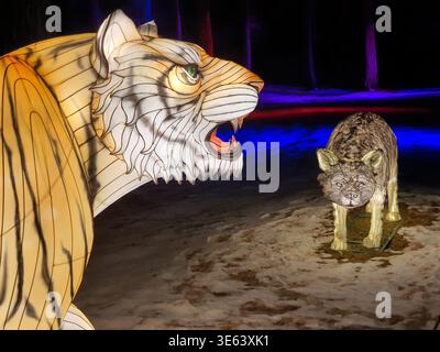 Eine große beleuchtete Tigerlaterne mit einem offenen Mund, der Zähne und Zunge zeigt, steht im Vordergrund links, mit einer Darstellung Stockfoto