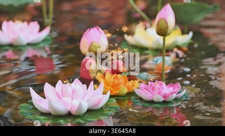Farbenfrohe künstliche Lotusblüten und Spielzeugenten, die in einem ruhigen Teich mit Reflexionen schwimmen Stockfoto