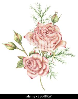 Aquarell zarte rosa Rosen, Farnzweige und Blätter Blumenstrauß Illustration, Garten Blumenarrangements Clipart, Blumen Clip Art Stockfoto