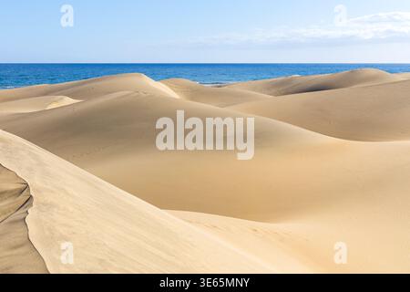 Dunas de Maspalomas Sanddünen Wüste auf Gran Canaria Urlaub in Spanien Stockfoto