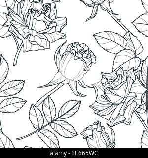 Nahtloses Vektor-Muster mit handgezeichneten Rosen. Elegante botanische Blumenillustration. Federdesign für Stoff, Textil, Geschenkpapier, Tapeten und Stock Vektor