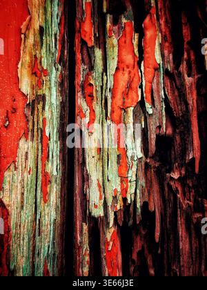 Nahaufnahme der verwitterten Holzoberfläche mit abblätternder roter Farbe mit verwitterter Textur und Rissen Stockfoto