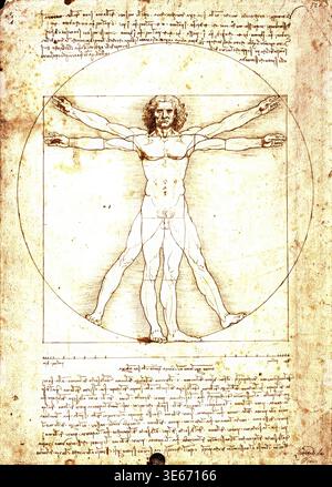 Leonardo da Vinci – Vitruvian man: Italienische Renaissance-Studie über menschliche Proportionen und Anatomie Stockfoto