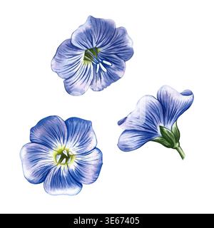 Blaue Leinenblumen. Handgezeichnete Aquarellillustration. Perfekt für Etiketten und Verpackungen, Textilien und Dekor sowie für Banner, Poster und Stockfoto