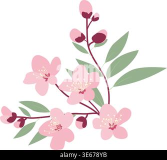 Set rosafarbener Kirschblüten mit Blumen, Knospen und Blättern auf weißem Hintergrund. Sakura-Blumendesign Stock Vektor