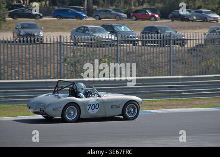 Starke Bremswirkung für den Austin-Healey 100-4. Verwaltung der Gewichtsverlagerung vor dem Betreten der ersten Ecke in Estoril Stockfoto