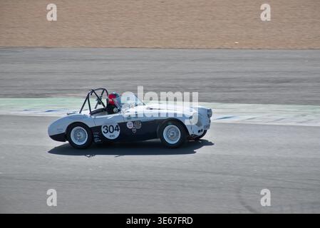 Die Austin-Healey 100-4 fährt in der ersten Kurve. Präzision und Kraft aus diesem 1955er Klassiker während des Rennens Stockfoto