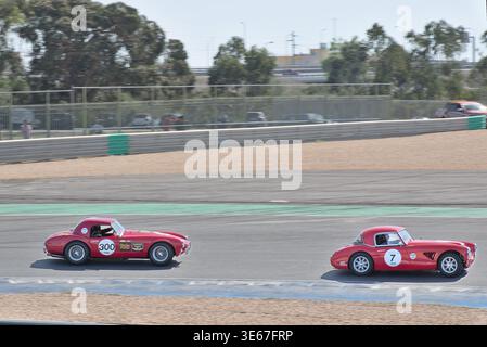 Druck von hinten! Der Austin-Healey 3000 führt den leistungsstarken Shelby Cobra 260 durch die Eröffnungsecke Stockfoto