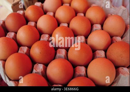 Braune Eier Ordentlich Im Karton Angeordnet, Warmes Morgenlicht Glatte Schalen, Großaufnahme Von Recyceltem Karton Mit Dutzenden Braunen Eiern, Stockfoto