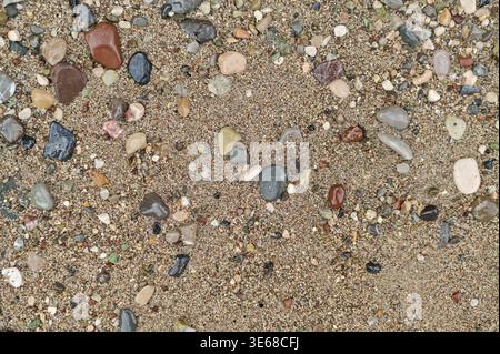 Sand gemischt mit bunten Kieselsteinen, die einen strukturierten Hintergrund bilden. Sand und Kieselsteine erzeugen lebendiges natürliches Muster, detaillierte Oberfläche mit kleinem Stein A Stockfoto