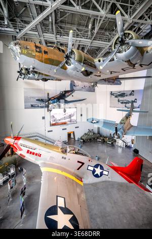 P51D Mustang Bunnie Suspended Red Tail Aircraft New Orleans Vereinigte Staaten | NEW ORLEANS, Louisiana — Im War Birds Gallery des National WWII Museum hängt ein P-51D Mustang-Kampfflugzeug namens "Bunnie" in einem simulierten Flug unter einer B-17-Bomber. Das Flugzeug trägt die Markierungen von Captain Roscoe C. Brown, Jr., einem Tuskegee Airman und Flugführer der 100. Jagdstaffel der 332. Jagddivision. Sein markantes purpurrotes Heck identifiziert es als "Red Tail", das berühmte visuelle Kennzeichen der segregierten afroamerikanischen Einheit, die während des Krieges in Italien stationiert war Stockfoto