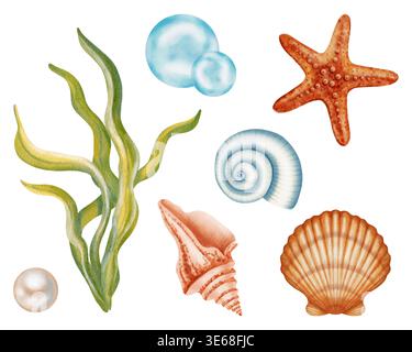 Sammlung von Aquarellen von Meereselementen, darunter verschiedene Muscheln, Perlen in einer Schale, Seesterne, Algen. Kinder, Marine und Reisen Stockfoto
