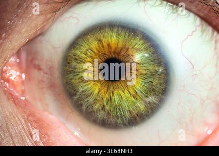 Extreme Makro der Iris des menschlichen Auges mit detaillierter Textur Stockfoto