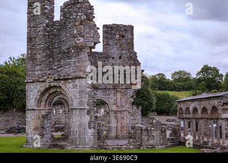 Ruinen der Mellifont Abbey, ein Zisterzienserkloster aus dem 12. Jahrhundert in County Louth, Irland. Stockfoto