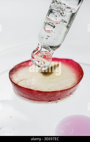 Tropfen des flüssigen Serums aus der Pipette auf den Querschnitt der roten Traube in der Petrischale Stockfoto