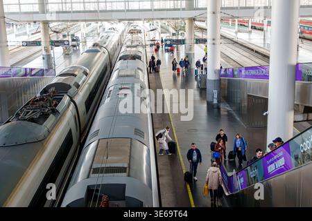 Madrid Spanien, Estacion de Madrid-Puerta de Atocha-Almudena Grandes, Hauptbahnhof, Hochgeschwindigkeitsbahnknotenpunkt AVE, Bahnsteigblick mehrerer Züge, Passagier Stockfoto