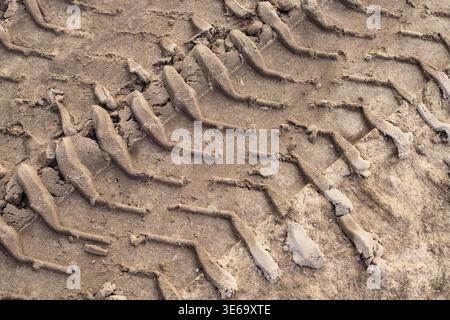 Detaillierte Textur der Reifenspuren auf nassem Sand oder Boden. Tiefe Spurspuren von schweren Maschinen oder Fahrzeugen auf einer Baustelle oder im Gelände. Stockfoto