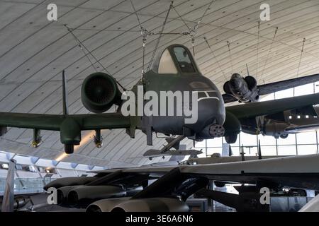 Cambridge, Großbritannien - 7. April 24: Vorderansicht einer Fairchild Republic A-10 Thunderbolt II im American Air Museum, IWM Duxford, England. Stockfoto