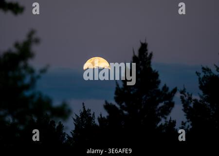 Vollmond, der hinter den Wolken in Entre Rios, Argentinien, aufsteigt Stockfoto