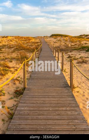 Hölzerne Promenade führt durch Sanddünen bei Sonnenuntergang Stockfoto