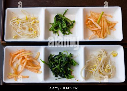 Traditionelle asiatische Banchan-Beilagen in einem minimalistischen Tellerset, einschließlich gewürztem Gemüse, Sojasprossen und scharfem Rettich Stockfoto