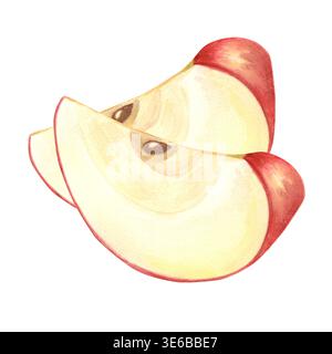 Rote Äpfel zwei geschnittene Scheiben Aquarell handgezeichnete Illustration. Frucht isolierte Skizze für gesunde Ernährung Design. Landwirtschaftliche Lebensmittel für die Verpackung von Konfitüren Stockfoto