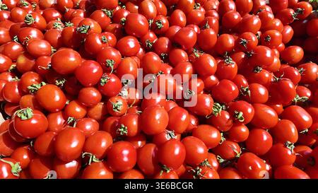 Frische rote Tomaten zum Verkauf auf dem Markt Stockfoto