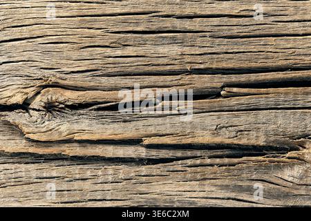 Detailreiche Makroaufnahme aus verwitterter, alter Holzrinde mit tiefen Rissen, horizontaler Körnung und natürlichen Brauntönen Stockfoto