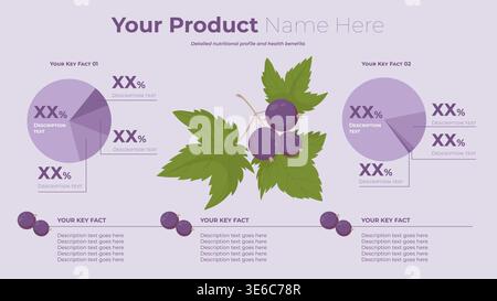 Produktinformationsvorlage Für Schwarze Johannisbeere. Horizontales Layout mit anpassbaren Datendiagrammen und Platzhalter Textblock, Zahlen und Botani Stock Vektor