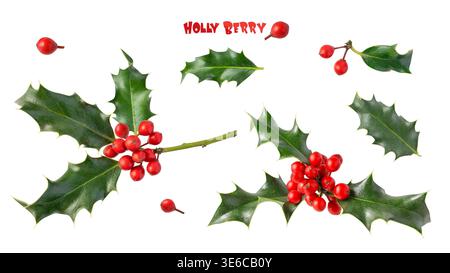 Weihnachtliche stechpalmenzweige mit roten Beeren und grünen Blättern isoliert auf weißem Hintergrund. Winter-Naturzweig als Weihnachtsdekoration. Stockfoto