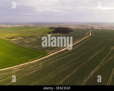 Aus der Vogelperspektive auf sanfte grüne Felder mit kurviger Schotterstraße und Traktorspuren unter bewölktem Frühlingshimmel Stockfoto