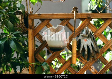 Jeju-si, Jeju-Do, Südkorea - 17. Februar 2026: Gartengeräte und ein Messbecher hängen an einem Holzgitterzaun in einem Wohngarten Stockfoto
